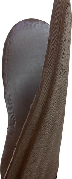 , In stock, Коричневый